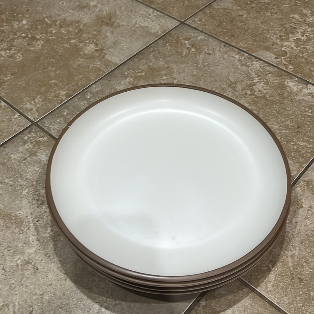 Melamine Dinner Plates - Picture 2 of 3